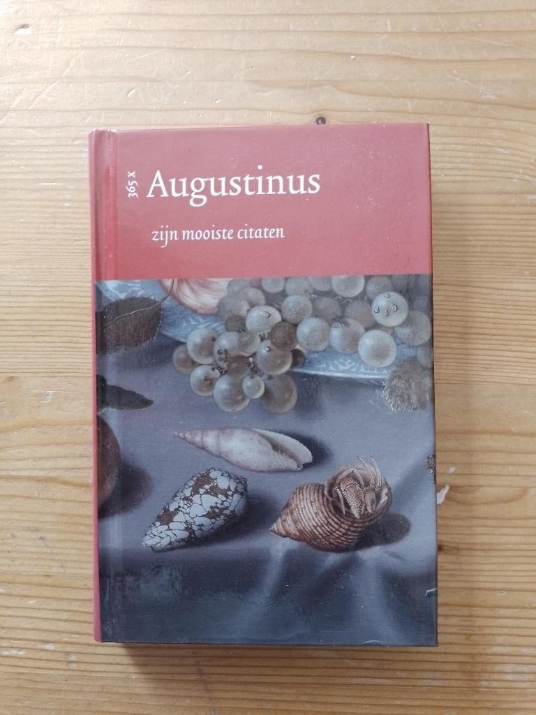 365 x Augustinus    Henk Florijn, Boeken, Overige religies, Ophalen of Verzenden, Zo goed als nieuw, Henk Florijn
