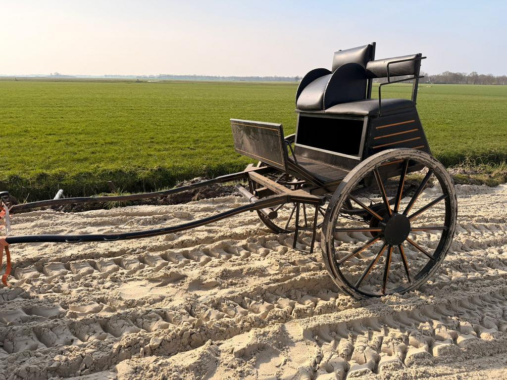 Menwagen tweewieler, Dieren en Toebehoren, Rijtuigen en Koetsen, Gebruikt, Overige typen, Paard