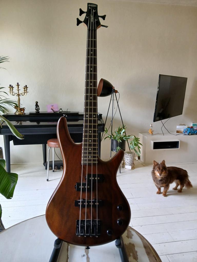 Basgitaar met versterker en standaard, Ophalen of Verzenden, Gebruikt, Elektrisch