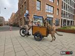 Hondenbakfiets geschikt voor grote honden, Fietsen en Brommers, Fietsen | Bakfietsen, Overige merken, Gebruikt, Huif, Onbekend