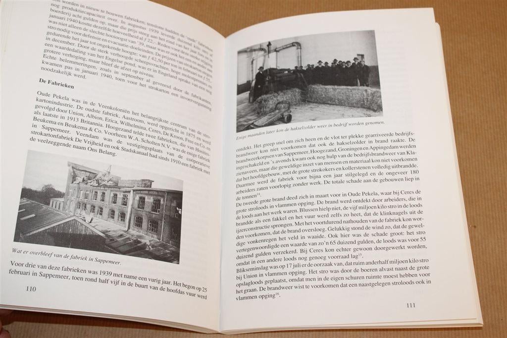 Garen en Gasmaskers — Veenkoloniën 1939 Geschiedenis, Boeken, Geschiedenis | Stad en Regio, Ophalen of Verzenden, Gelezen
