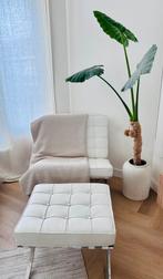 Barcelona Chair, Huis en Inrichting