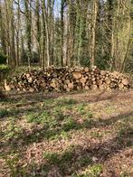 Openhaard hout Linden, 3 tot 6 m³, Ophalen, Overige houtsoorten, Blokken