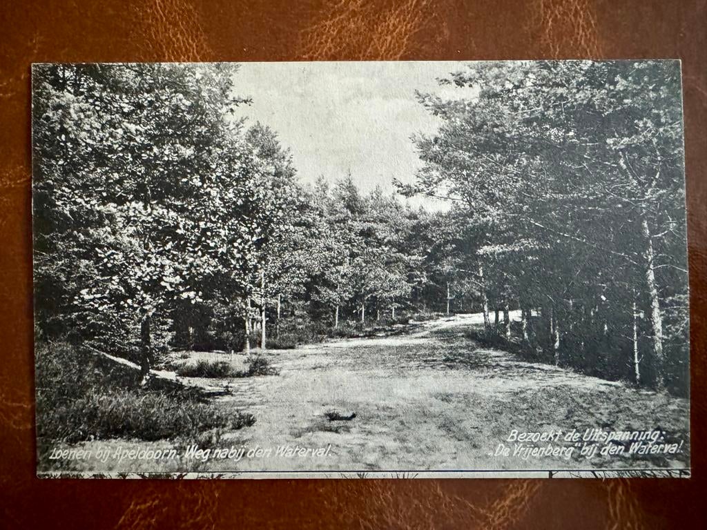 Ansichtkaart Loenen bij Apeldoorn, Weg nabij den Waterval, Ophalen of Verzenden, Voor 1920, Gelopen, Gelderland