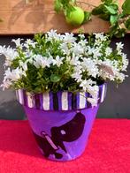 Kika actie Basker: Paarse Takkie bloempot, Tuin en Terras, Rond, Nieuw, Minder dan 40 cm, Tuin