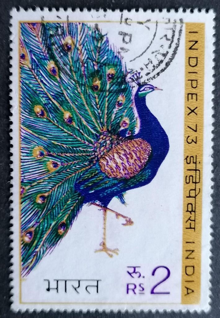 INDIA - pauw 1973, Postzegels en Munten, Verzenden, Gestempeld, Centraal-Azië