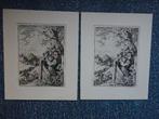 2 gravures 1x zwart/wit en 1x kleur, Ophalen of Verzenden