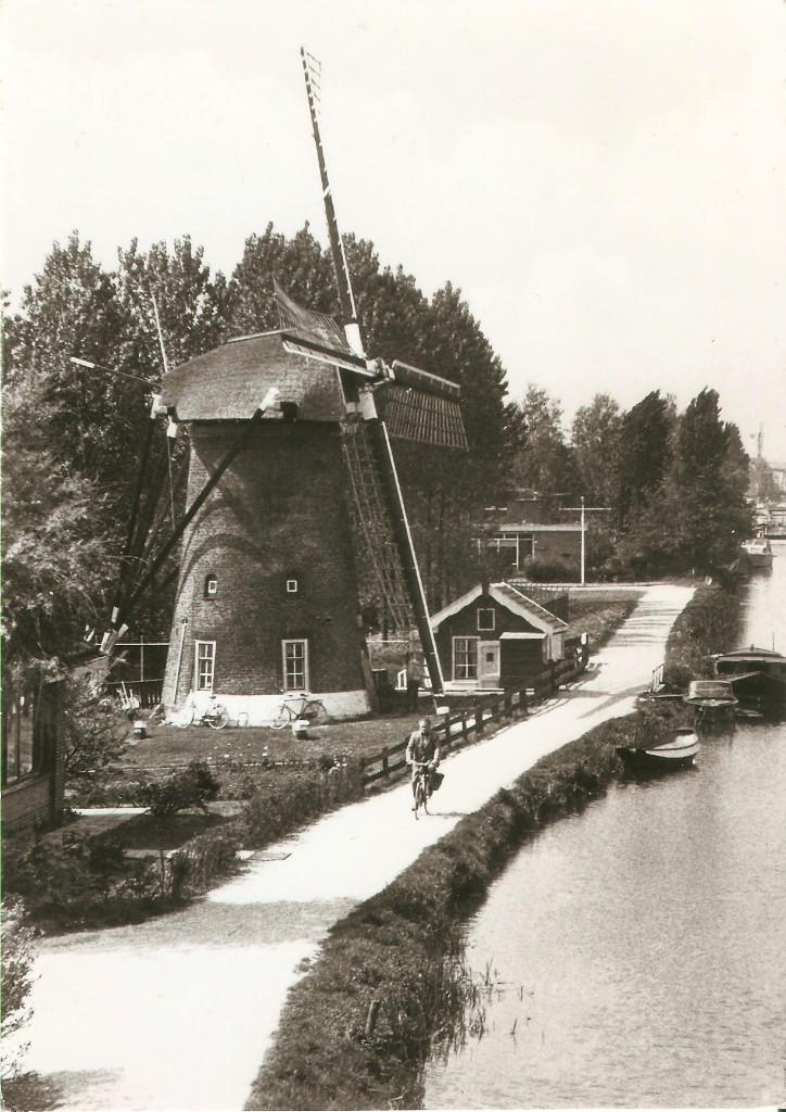Maassluis Molen aan Wipperskade ca. 1975 groot formaat, Ophalen of Verzenden, 1960 tot 1980, Ongelopen, Zuid-Holland