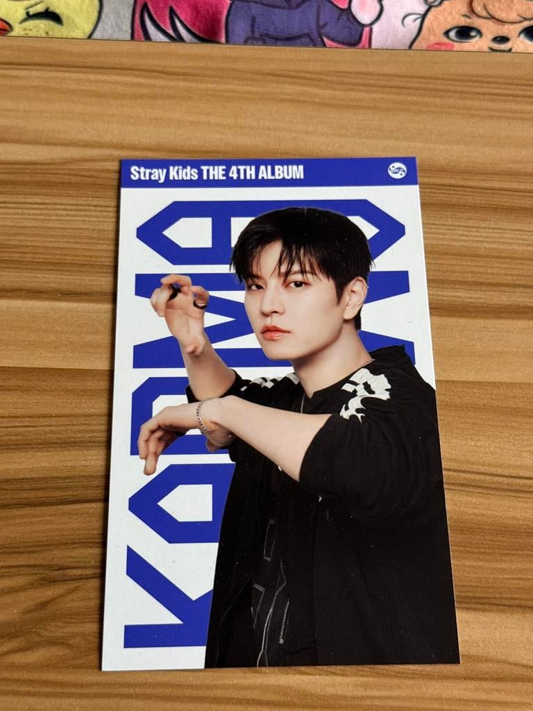 Stray Kids Seungmin kaart karma, Ophalen of Verzenden, Zo goed als nieuw, Foto of Kaart