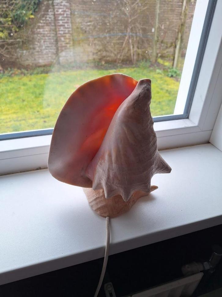 Schelp Lamp - Uniek Decoratief Stuk, Huis en Inrichting, Lampen | Vloerlampen, Gebruikt, Minder dan 100 cm, Overige materialen