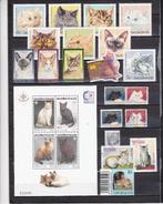 3. Katten poezen kitttens, Ophalen of Verzenden, Dier of Natuur