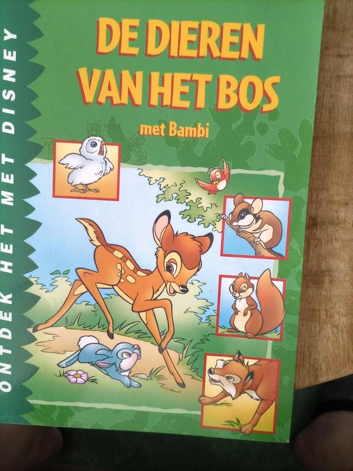De dieren ban het bos met Bambi., Boeken, Sprookjes en Fabels, Zo goed als nieuw, Ophalen of Verzenden