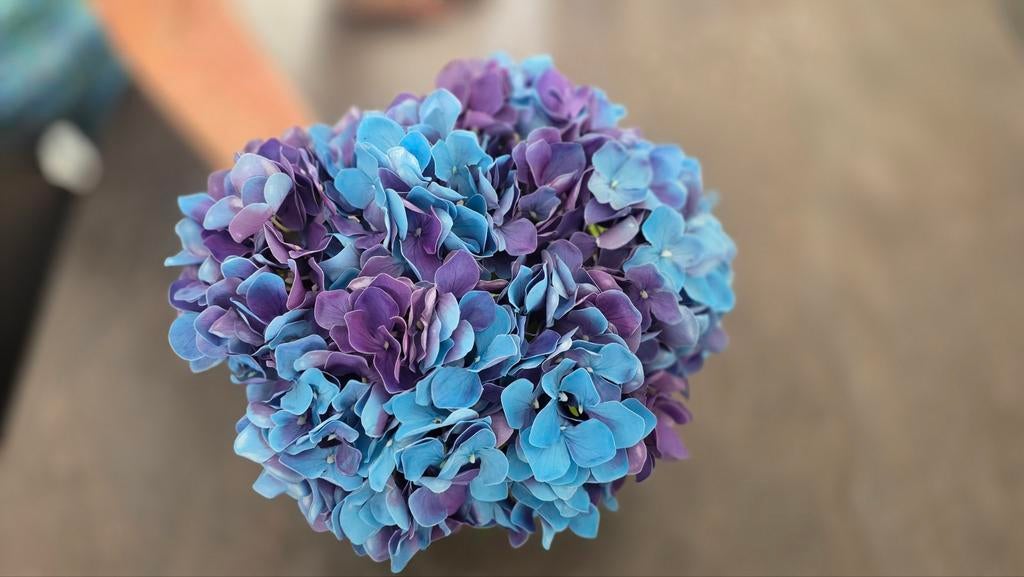 6 Stuks Kunst Hortensia Bloemen - Blauw/Paars, Binnen, Kunstbloem, Nieuw, Ophalen of Verzenden