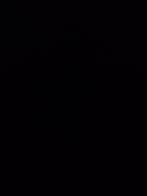 GEZOCHT kalkoenen en parelhoenders, Mannelijk, Kalkoen