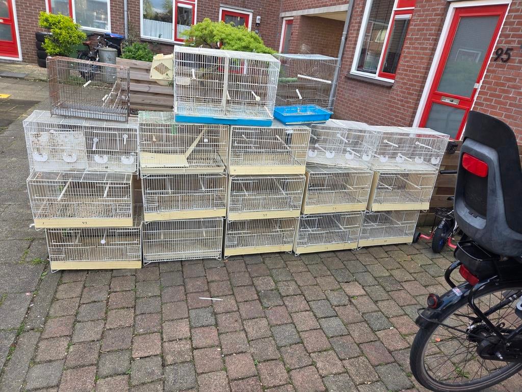 18 kooie, Dieren en Toebehoren, Ophalen of Verzenden, Hout, Broedkooi of Kweekkooi