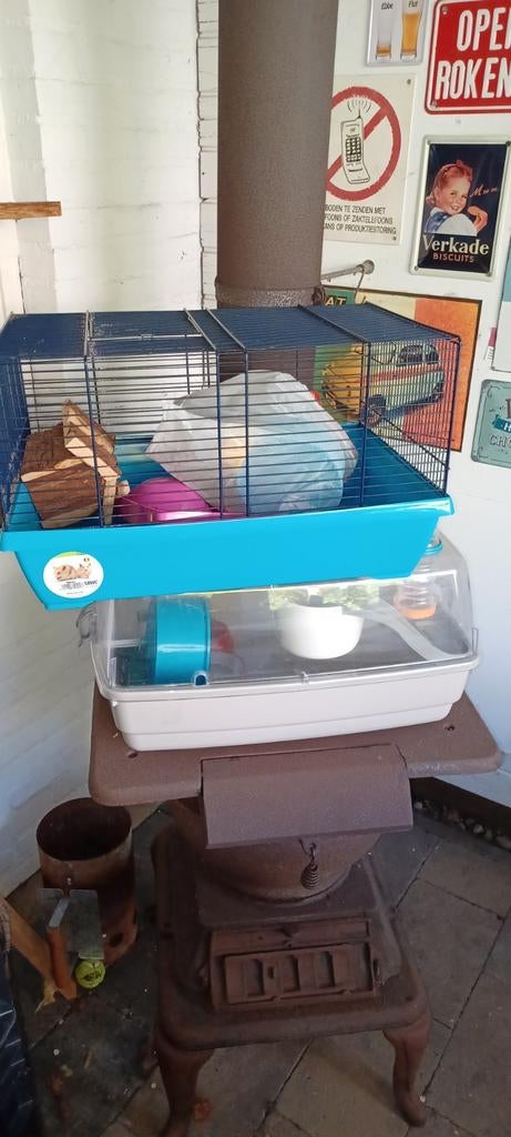 Hamster kooi plus toebehoren, Maart, Mannelijk, Hamster