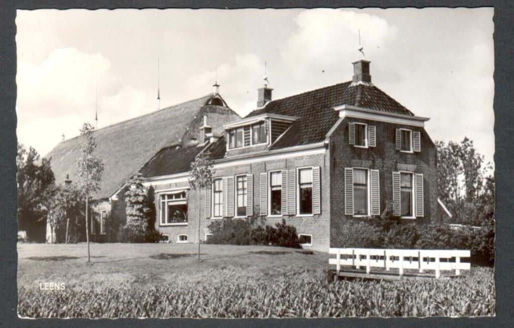 Oude ansicht - Leens - Boerderij - Gr., Ophalen of Verzenden, 1940 tot 1960, Ongelopen, Groningen