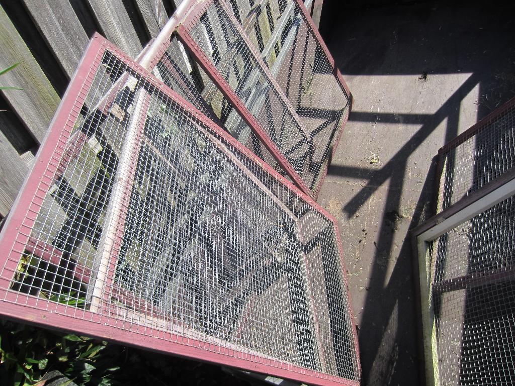 Grote konijnen ren of voor verschillende doeleinden, Dieren en Toebehoren, Ophalen, 90 cm of meer, Konijn, Ren