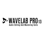 Steinberg WaveLab 13 Pro, Verzenden, Nieuw, MacOS