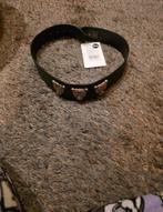 Nikkie riem xolani waist belt zwart, Kleding | Dames, Riemen en Ceinturen, 80 tot 90 cm, Zwart, Nieuw, Tailleriem