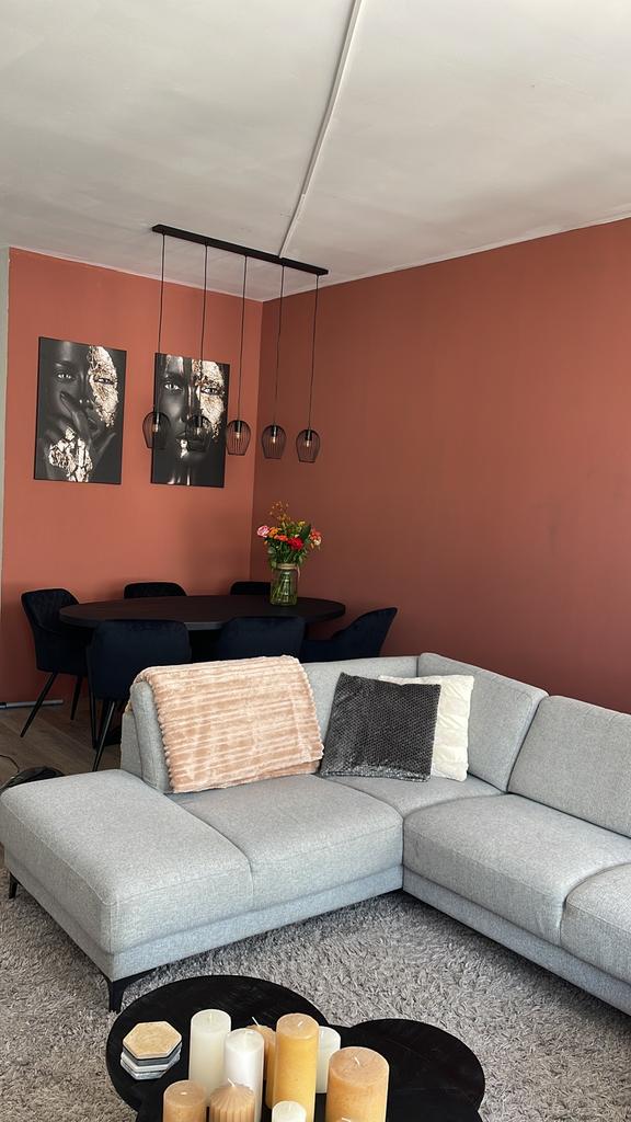Mooie hang lamp!, Huis en Inrichting, Lampen | Hanglampen, Ophalen, Zo goed als nieuw, Minder dan 50 cm
