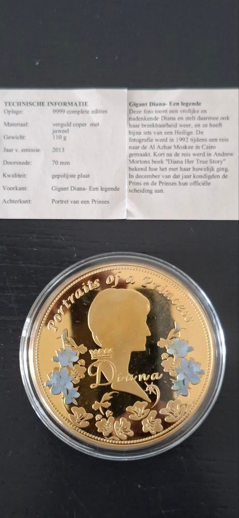 Lady Diana met certificaat bieden, Verzamelen, Ophalen of Verzenden, Zo goed als nieuw, Kaart, Foto of Prent