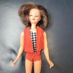 Willy wildebras, Ophalen of Verzenden, Gebruikt, Pop