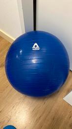 6 x balans bal, Ophalen of Verzenden, Gebruikt