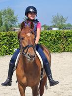 Pony lessen aangeboden, Dieren en Toebehoren, Ophalen of Verzenden