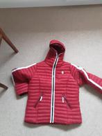 Dames gewatteerde tussen jas xl zgan, Ophalen of Verzenden, Zo goed als nieuw, Maat 42/44 (L), Rood