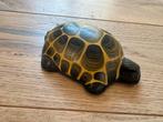 Vintage Schildpad Blikken Schildpad Speelgoed - Tsjechoslowa, Ophalen of Verzenden