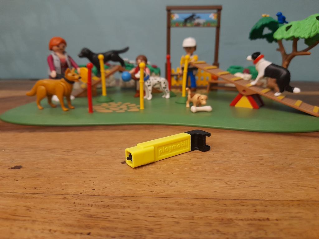 Playmobil hondenschool 6145, Ophalen of Verzenden, Zo goed als nieuw, Complete set