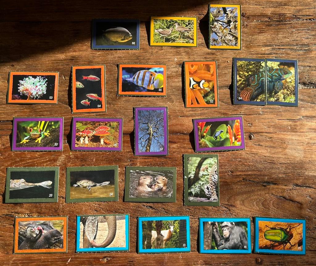 Dekamarkt ARTIS dierenplaatjes dierenstickers Deka spaar, Dekamarkt, Ophalen of Verzenden