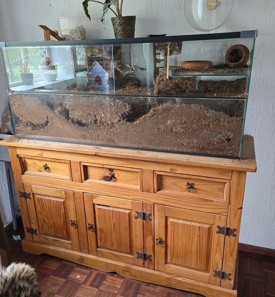 ZGAN Gerbil Terrarium incl Gerbils en toebehoren, Ophalen, Kooi, 110 cm of meer, 60 tot 90 cm