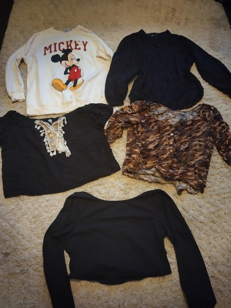 dames kleding pakket, maat 46 10 stuks, Ophalen of Verzenden, Gedragen, Maat 46/48 (XL) of groter