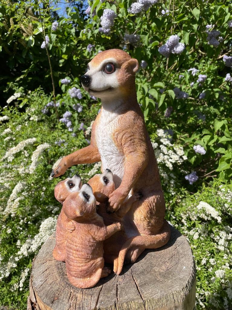 Beeld Stokstaart aap Drieling, tuin, vijver, dierentuin 40cm, Ophalen, Nieuw, Kunststof, Dierenbeeld