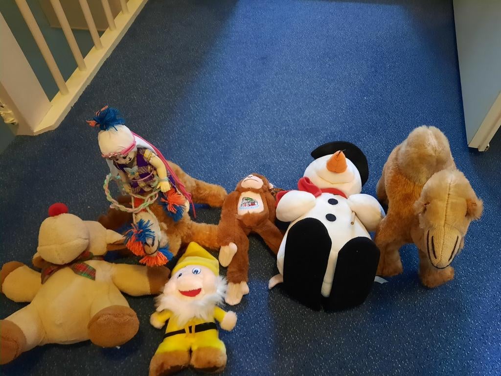 Verschillende knuffels, Kinderen en Baby's, Ophalen of Verzenden, Gebruikt, Overige typen