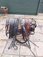 Prachtig robuust marathontuig, Dieren en Toebehoren, Ophalen of Verzenden, Zo goed als nieuw, Dressuur