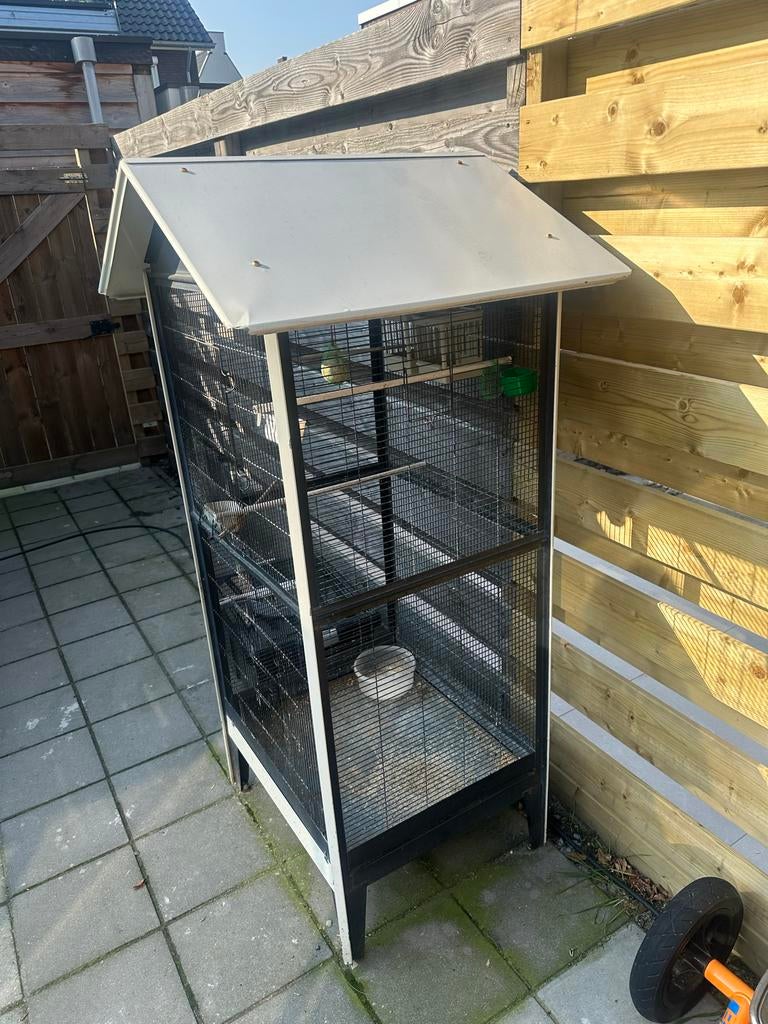 Gebruikte vogel kooi, Dieren en Toebehoren, Ophalen, Gebruikt, Metaal, Vogelkooi