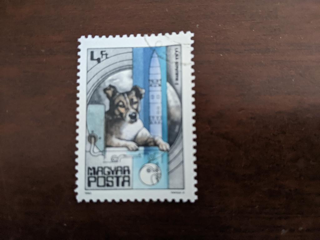HONGARIJE 1962; HONDJE LAIKA NAAR DE MAAN LEES!, Verzenden, Gestempeld, Dier of Natuur