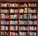 Gezocht: partij boeken, Boeken, Ophalen