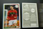 panini euro 2012 door de ogen van oranje, Ophalen of Verzenden, Nieuw