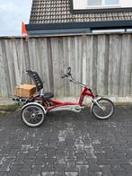 Elektrische van Raam Easy Rider driewielfiets driewieler, Ophalen, Gebruikt, Van Raam Easy Rider