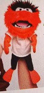 Handpop Muppet., Ophalen of Verzenden, Nieuw, Overige typen