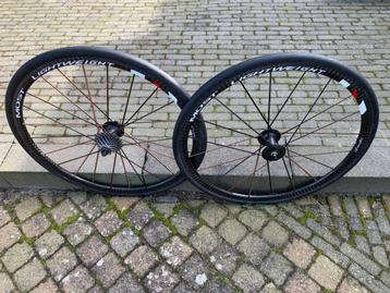 Lightweight VENTOUX Obermayer Meilenstein full carbon wielse beschikbaar voor biedingen