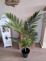 Kunst palm, Ophalen, Zo goed als nieuw