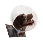 Nieuwe BUSTER Classic Transparent kraag maat 2 (10 cm)., Ophalen, Nieuw