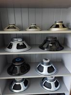 Diverse Gitaar speakers te Koop, Audio, Tv en Foto, Luidsprekers, Overige merken, Ophalen of Verzenden, Zo goed als nieuw, 120 watt of meer