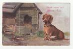 Teckel dashond klepjeskaart 1914, Verzenden, Voor 1920, Gelopen, Hond of Kat