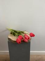 Rode tulpen, Binnen, Randweg 155, Nieuw, Ophalen of Verzenden